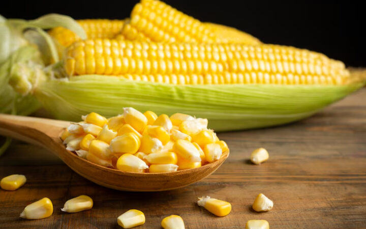Productos no comestibles derivados del maíz