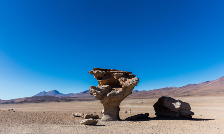 Los pisos ecológicos de Bolivia