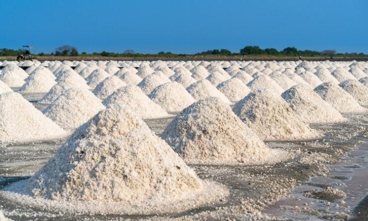 Cómo funciona una salinera y cuál es su impacto en el medio ambiente